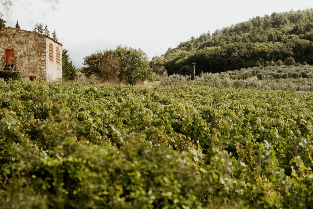 cerimonia civile alla Fattoria di Lavacchio a Pontassieve