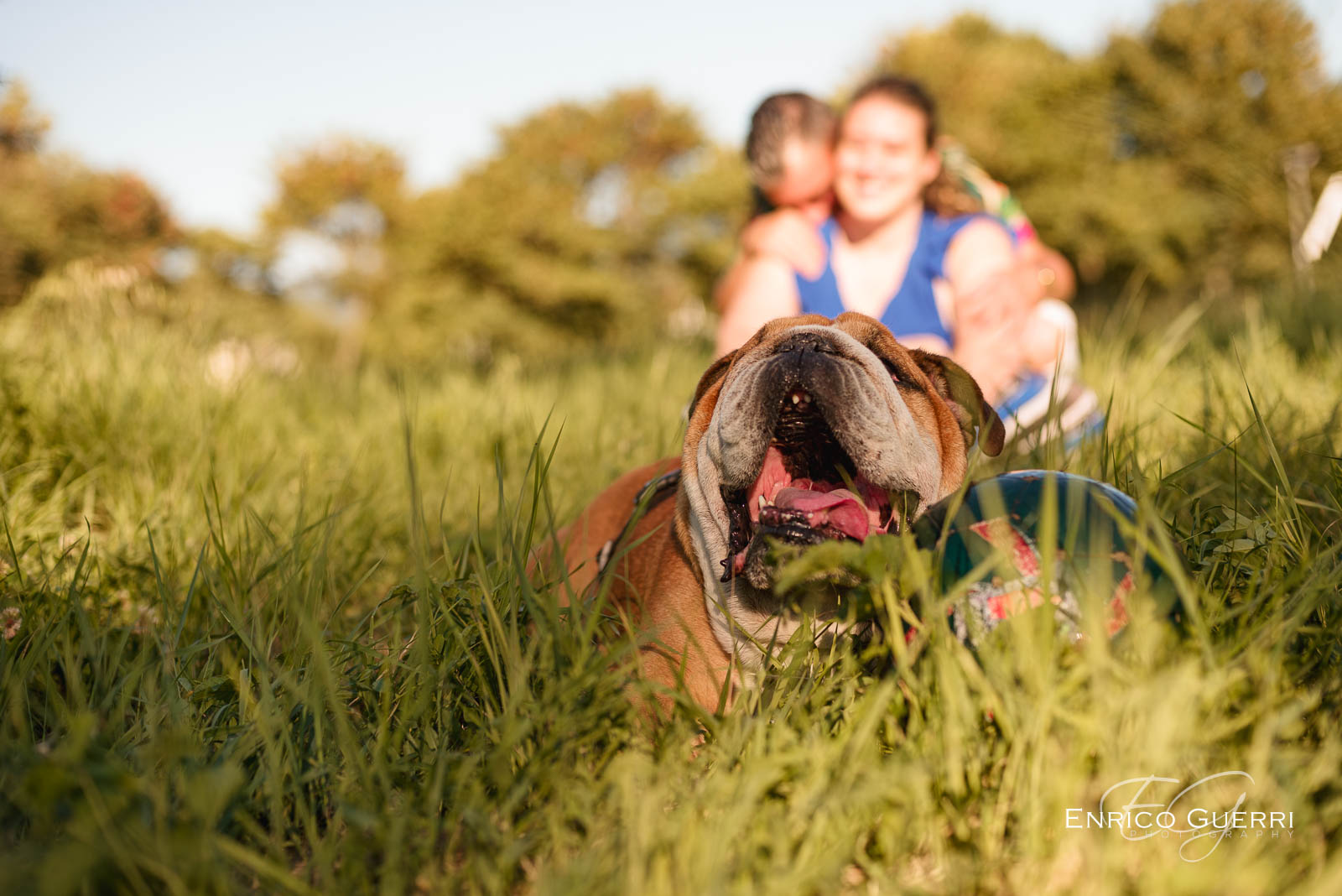 Fotografia di cani