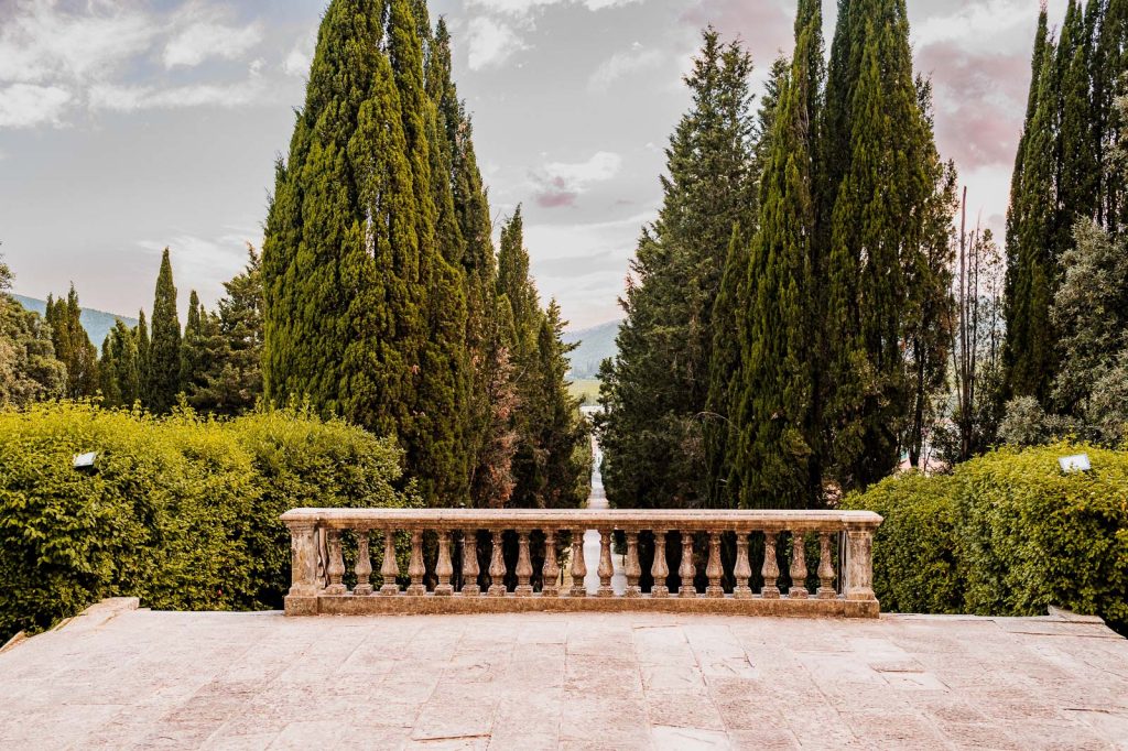 Viaggio nella fotografia